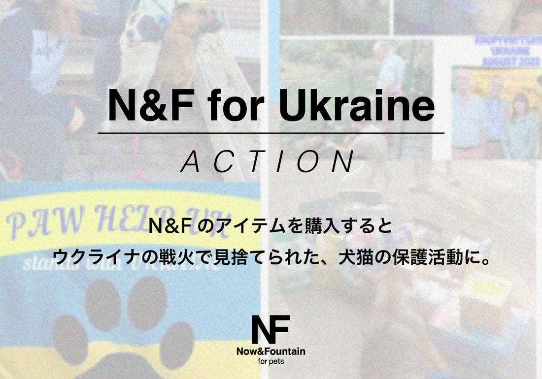 【ウクライナ犬猫支援】N&F for petsを購入すると、ウクライナの犬猫保護活動に寄付する連携事業を開始。