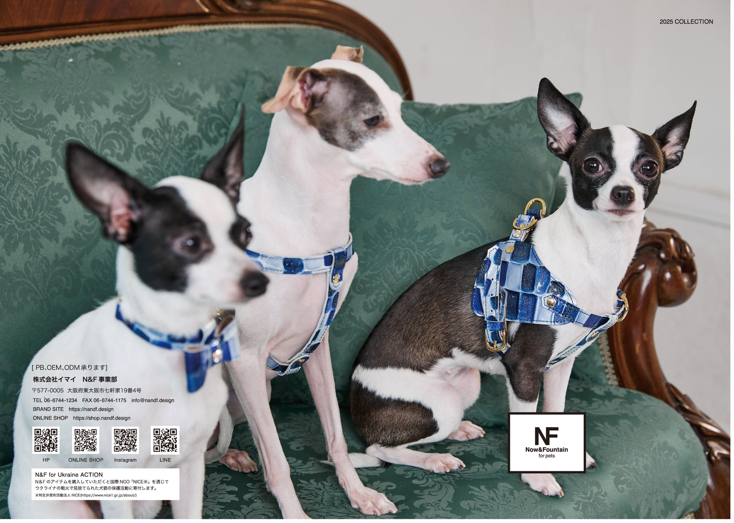 N&F 2025 Collectionカタログ