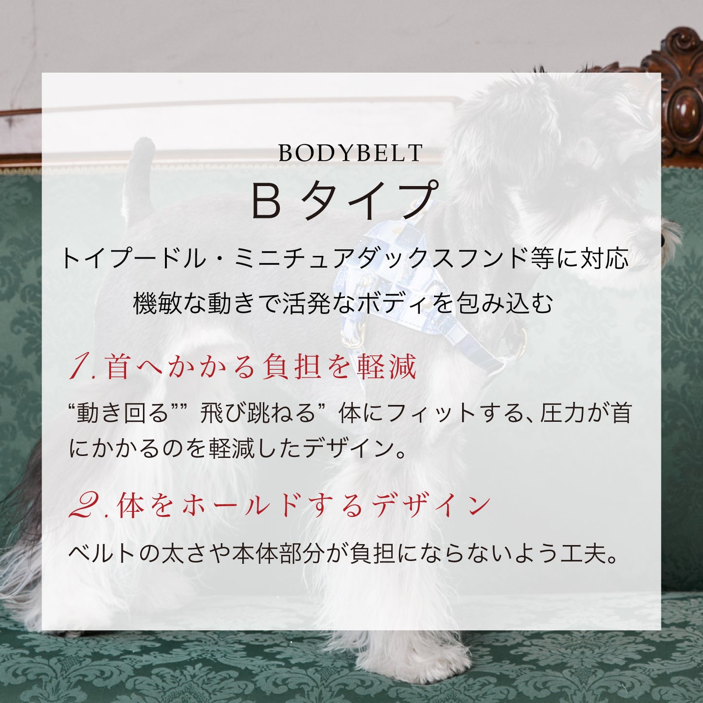 【予約販売 5月下旬発送】ボディベルト Bタイプ ジュエリータイル 2025限定ブルー