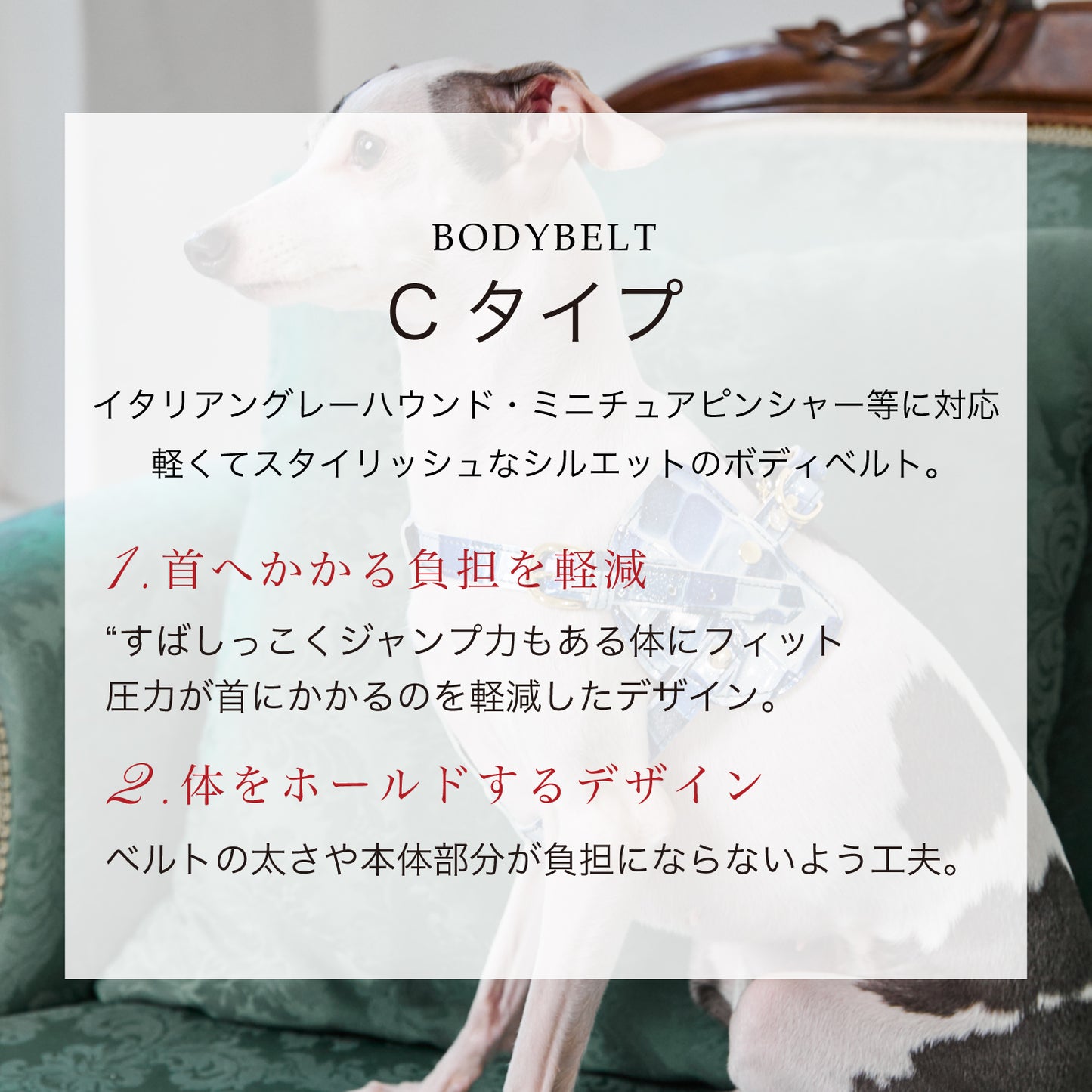 【予約販売 5月下旬発送】ボディベルト Cタイプ ジュエリータイル 2025限定ブルー