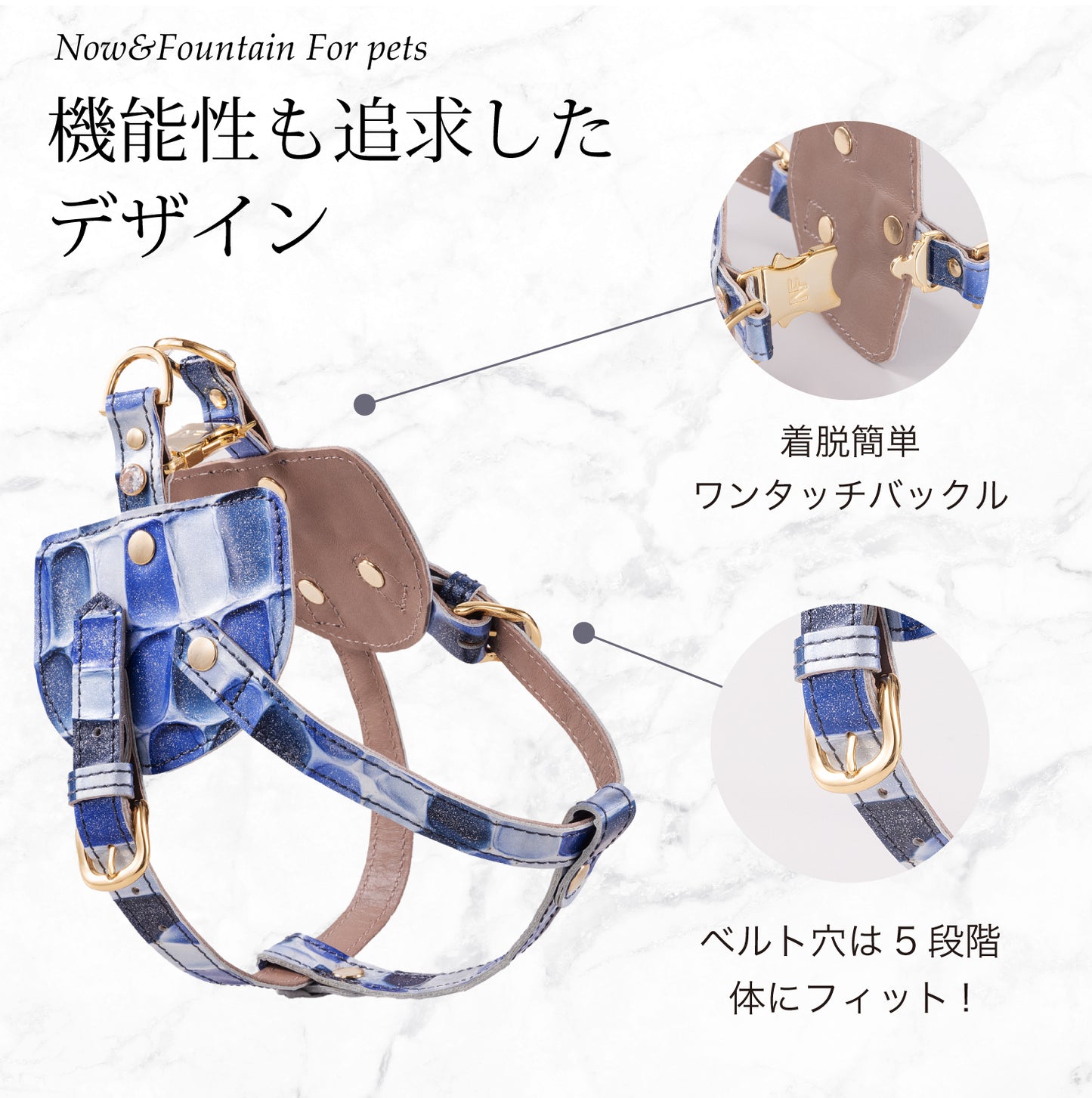 【予約販売 5月下旬発送】ボディベルト Cタイプ ジュエリータイル 2025限定ブルー
