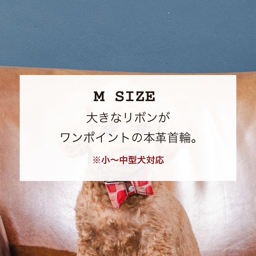 首輪 Mサイズ 2023限定モデル タイル