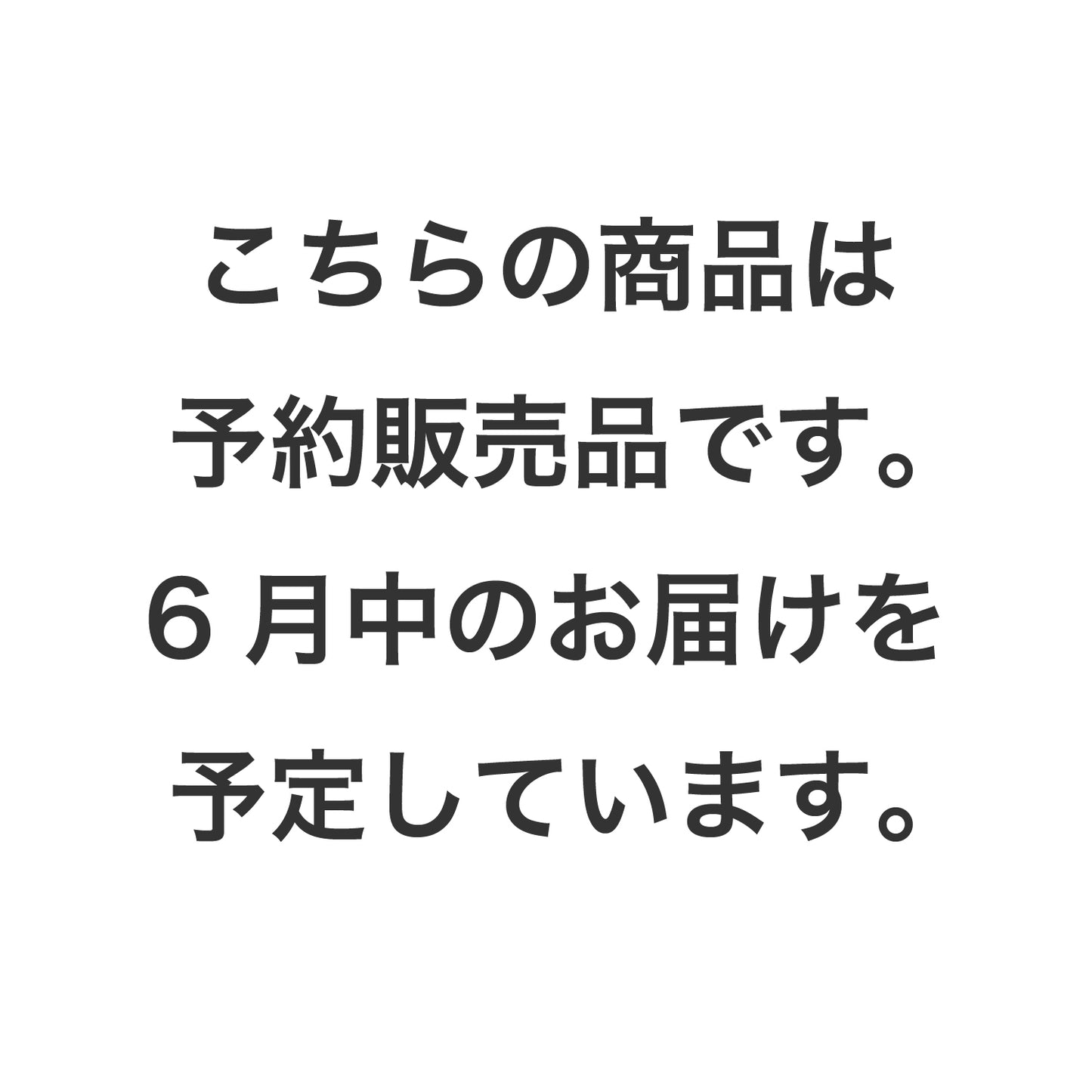 ボディベルト Aタイプ 2023限定モデル タイル