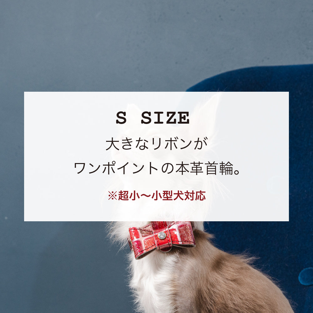 首輪 Sサイズ 2023限定モデル タイル