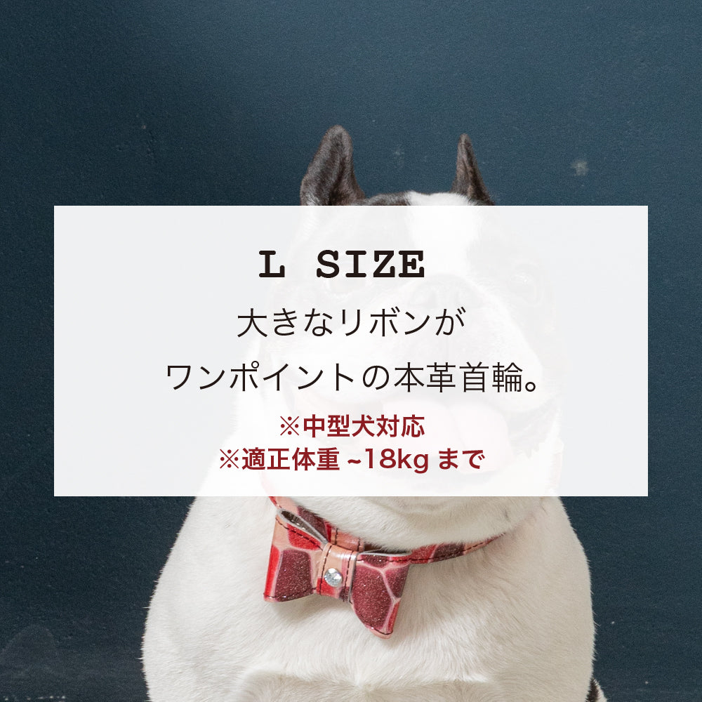 【予約販売 9月初旬発送予定】首輪 Lサイズ 2023限定モデル タイル