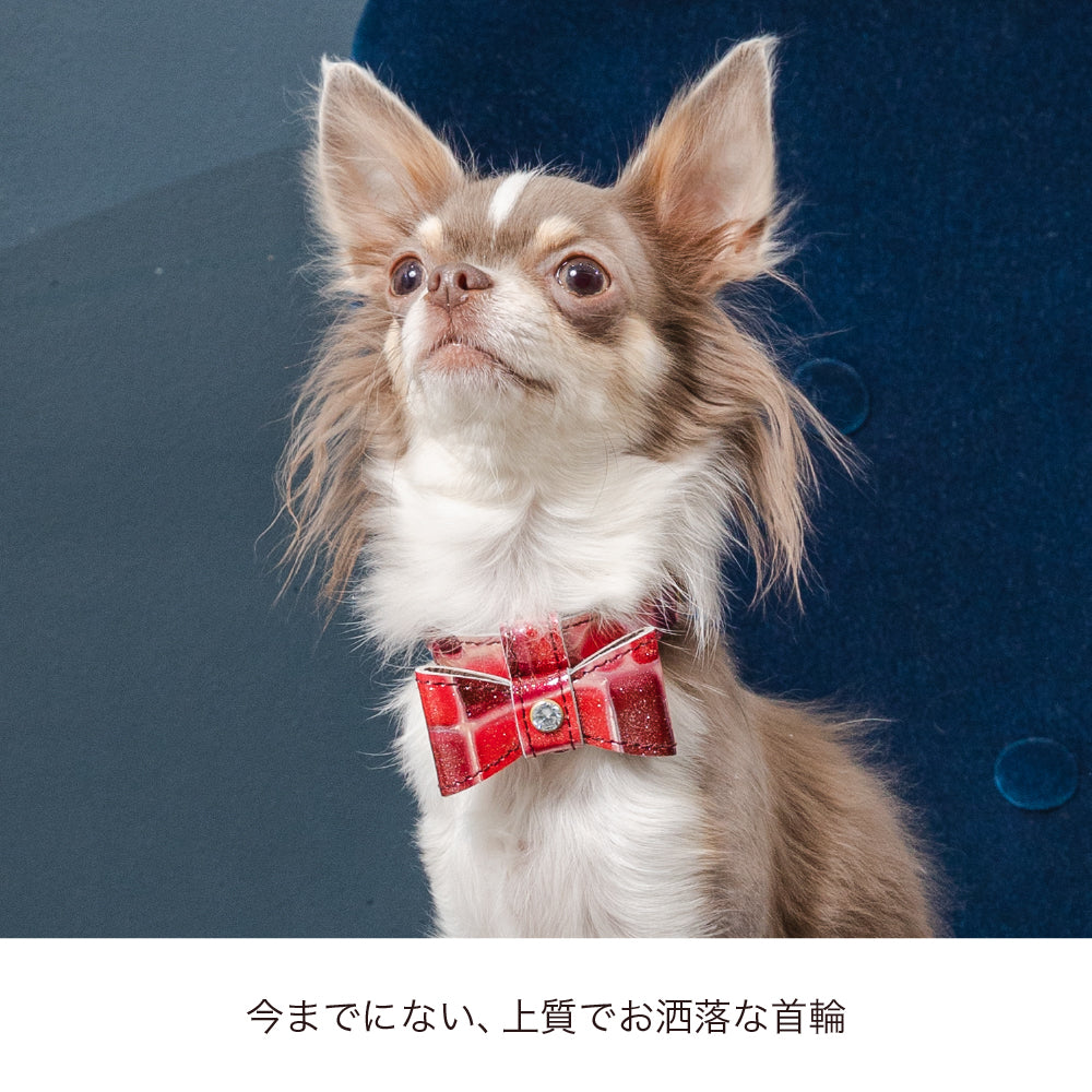首輪 Sサイズ 2023限定モデル タイル