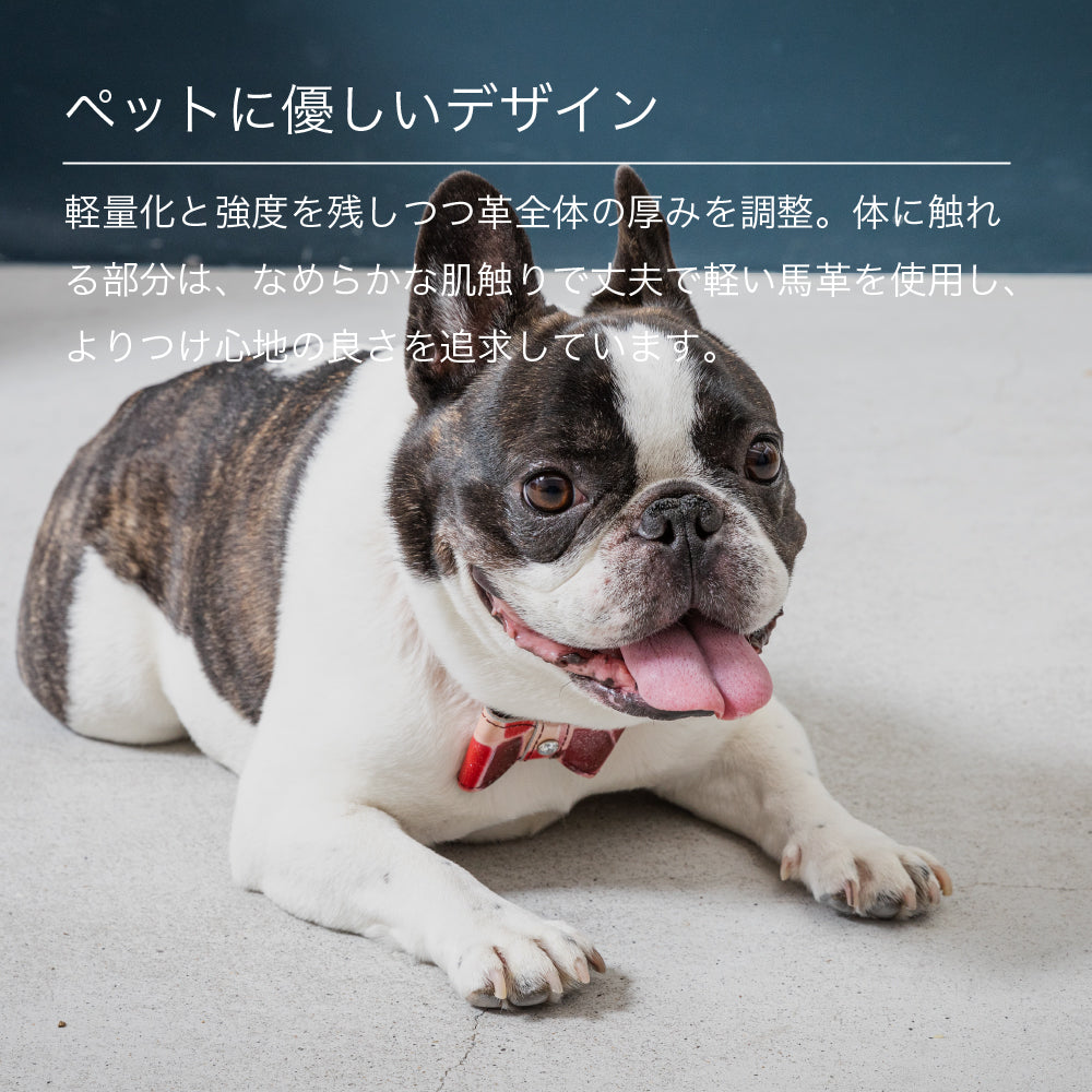 【予約販売 9月初旬発送予定】首輪 Lサイズ 2023限定モデル タイル