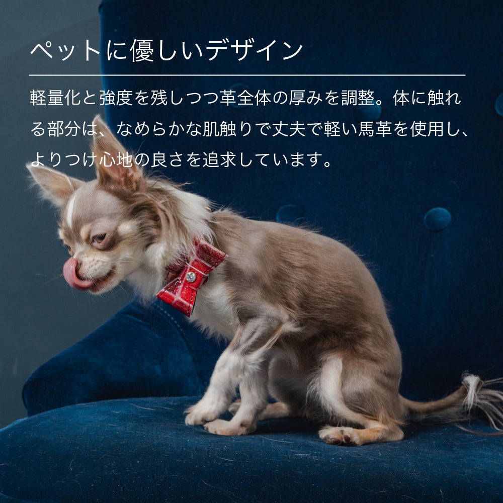 首輪 Sサイズ 2023限定モデル タイル