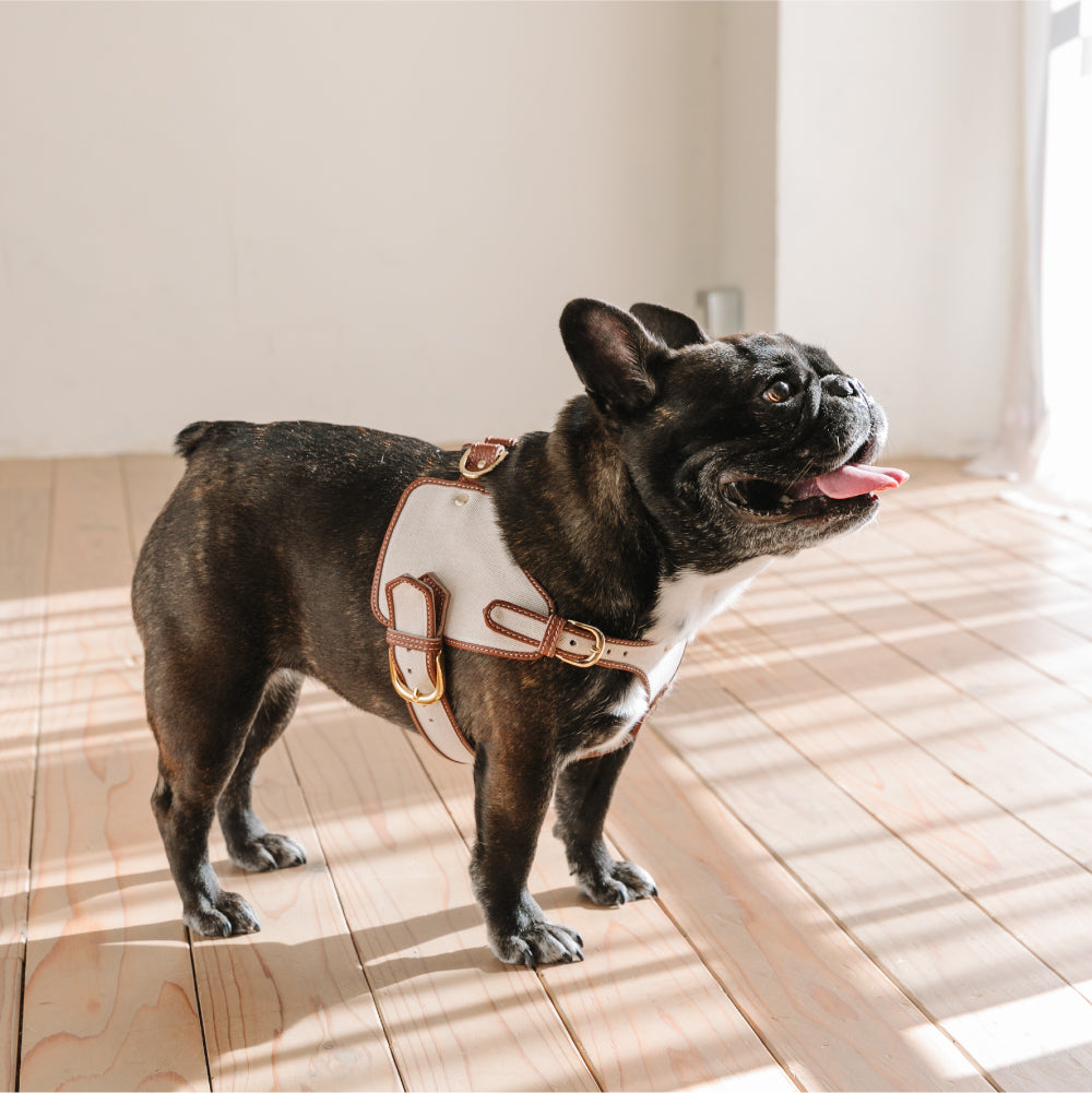 ボディベルト Aタイプ ヘミング