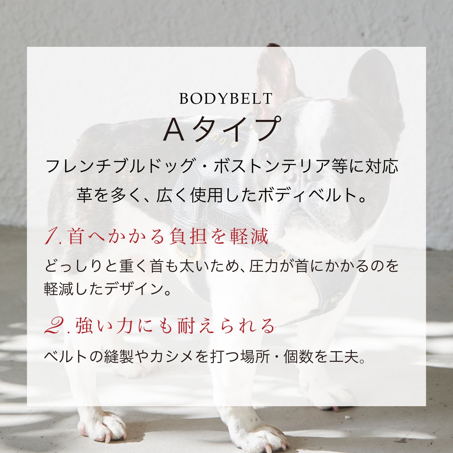 【予約販売 4月末発送】ボディベルト Aタイプ ナチュラルスキン