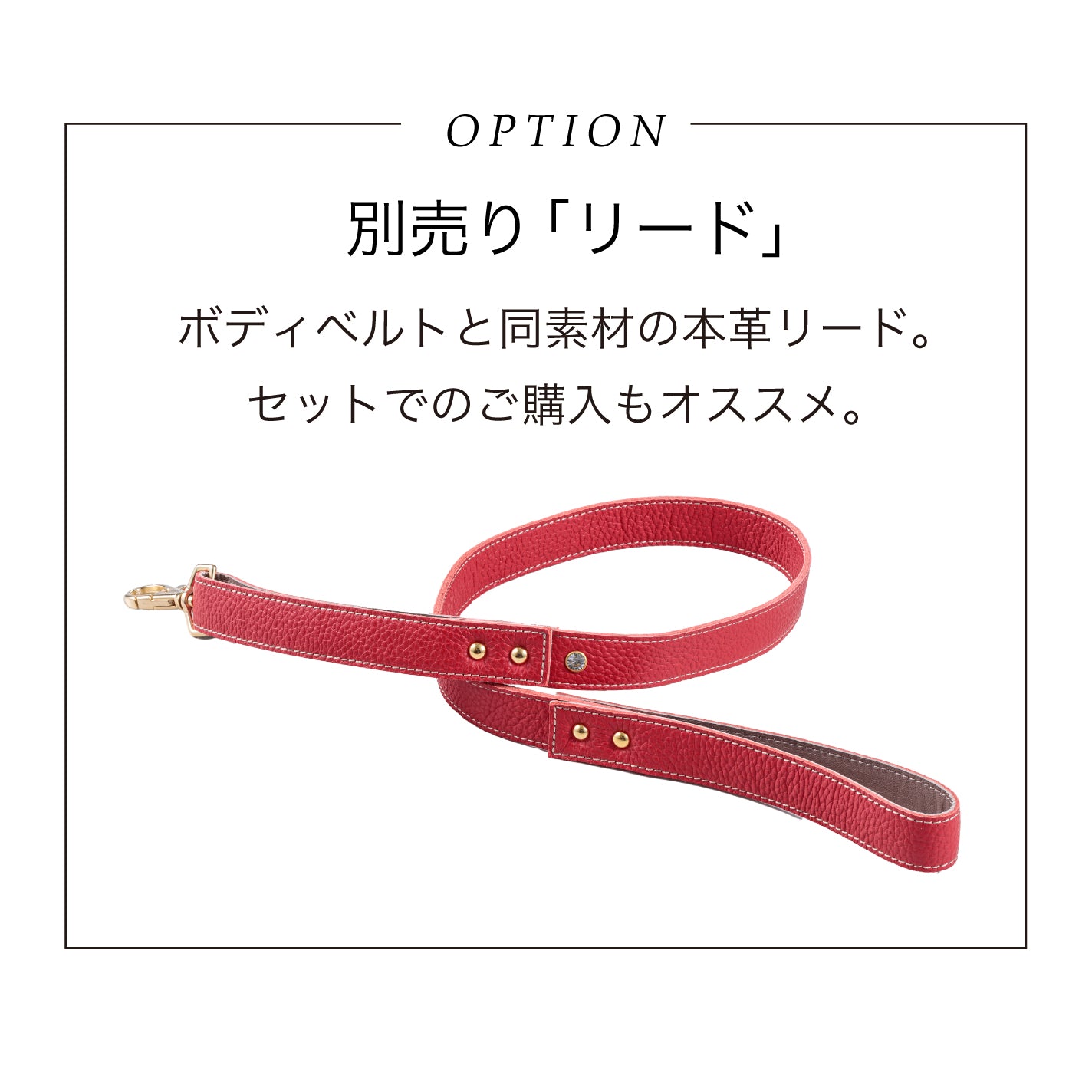 【予約販売 4月末発送】ボディベルト Aタイプ ナチュラルスキン