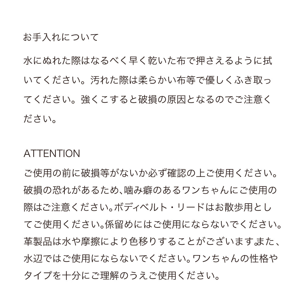 【予約販売 4月末発送】ボディベルト Aタイプ ナチュラルスキン