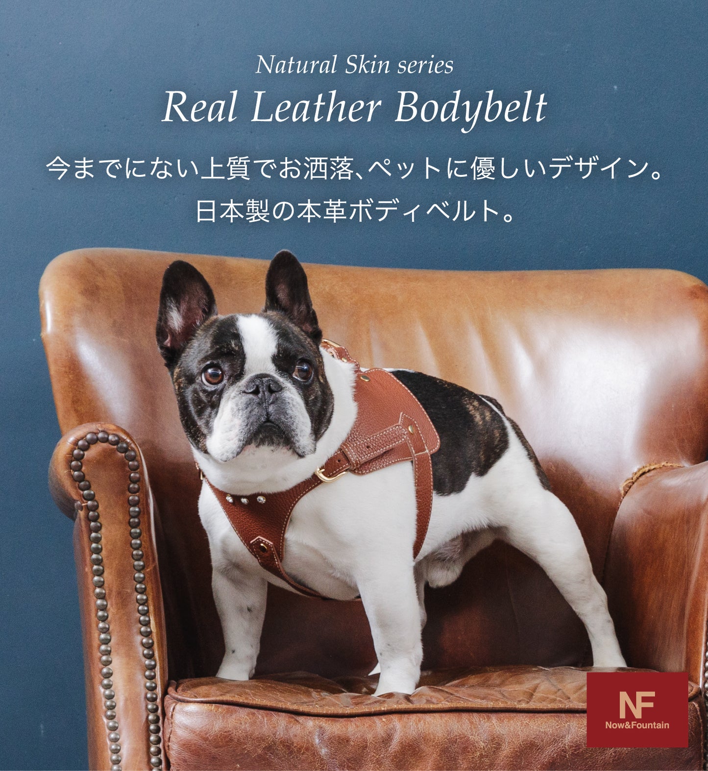 【予約販売 4月末発送】ボディベルト Aタイプ ナチュラルスキン
