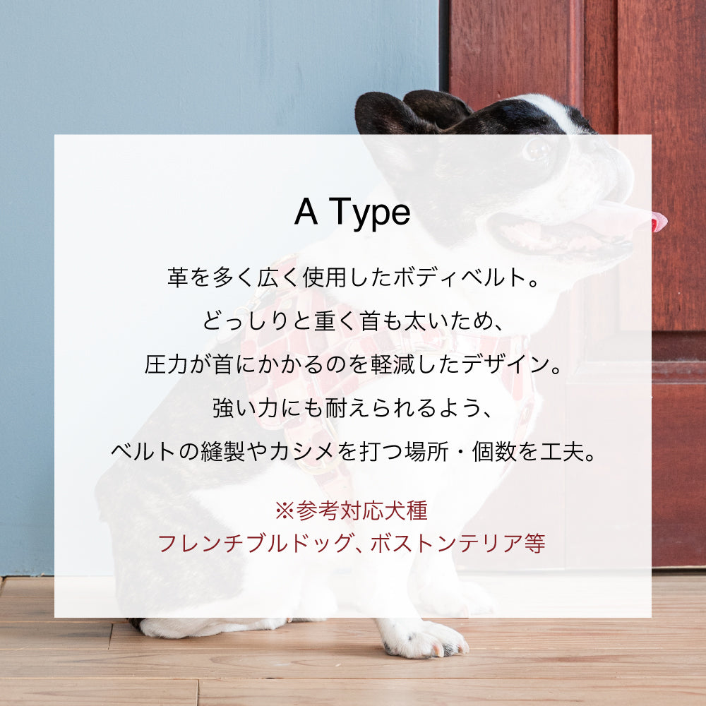 ボディベルト Aタイプ 2023限定モデル タイル