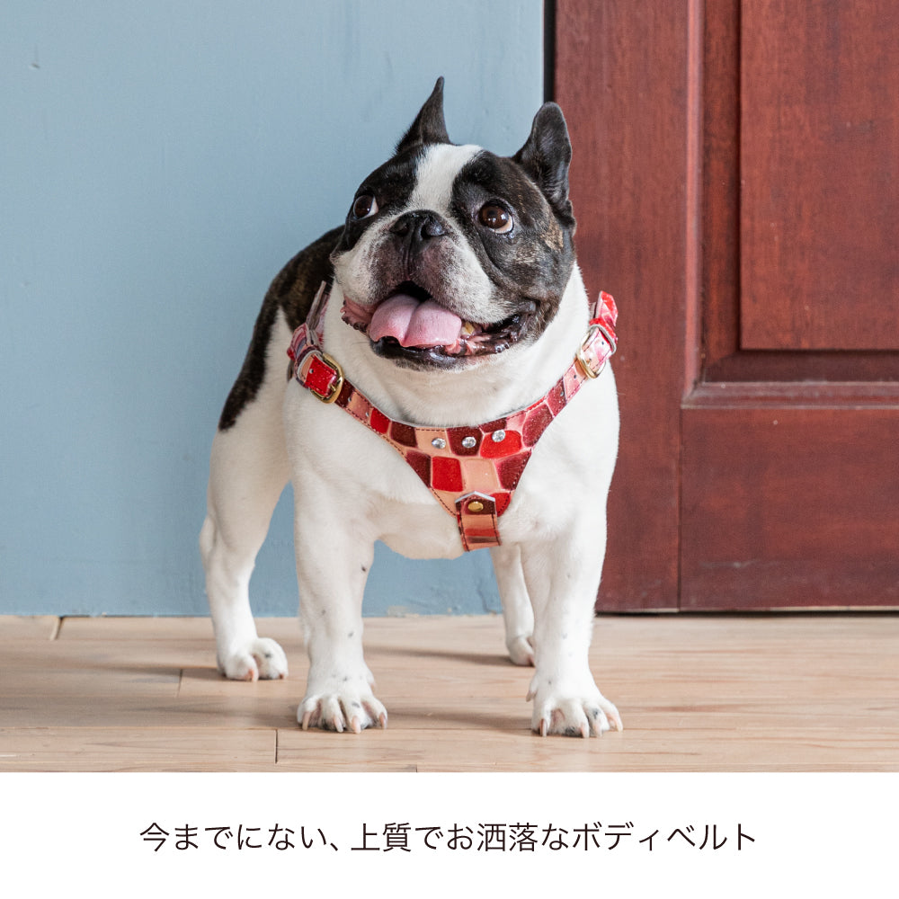 ボディベルト Aタイプ 2023限定モデル タイル