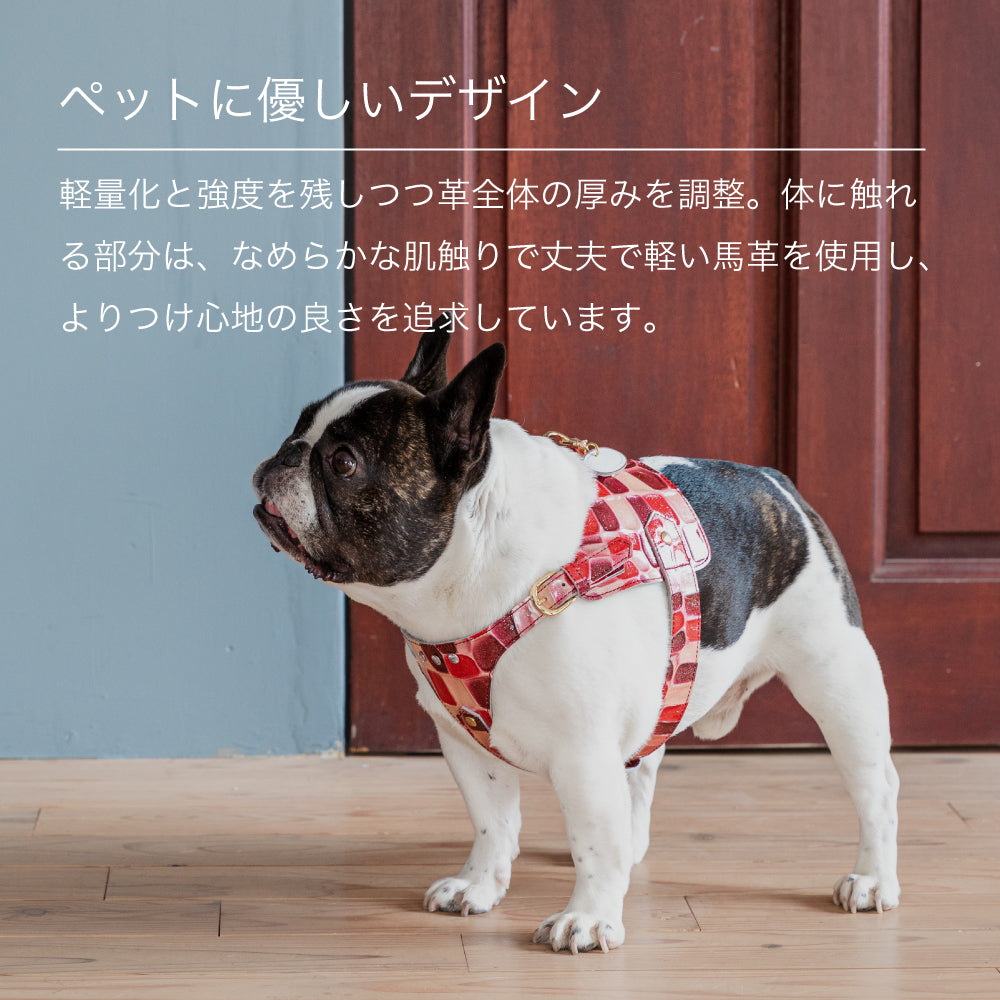 ボディベルト Aタイプ 2023限定モデル タイル