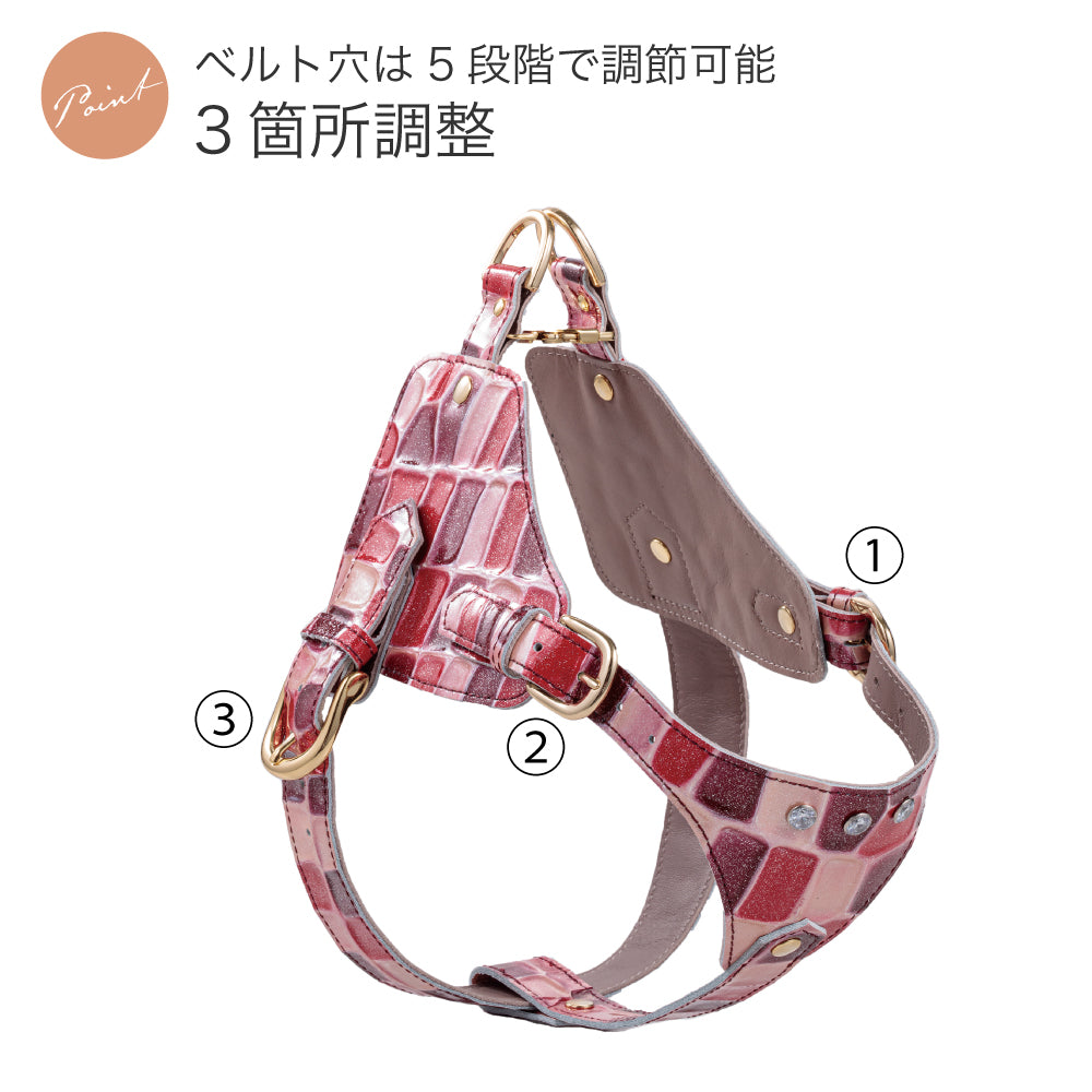 ボディベルト Aタイプ 2023限定モデル タイル