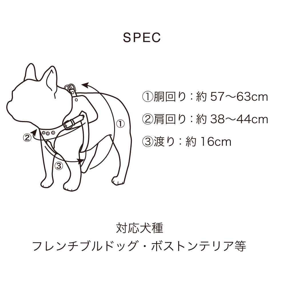 ボディベルト Aタイプ 2023限定モデル タイル