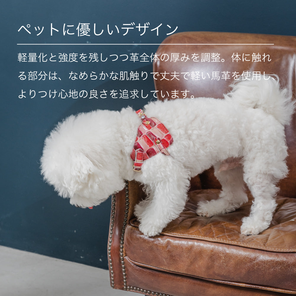 ボディベルト Bタイプ 2023限定モデル タイル