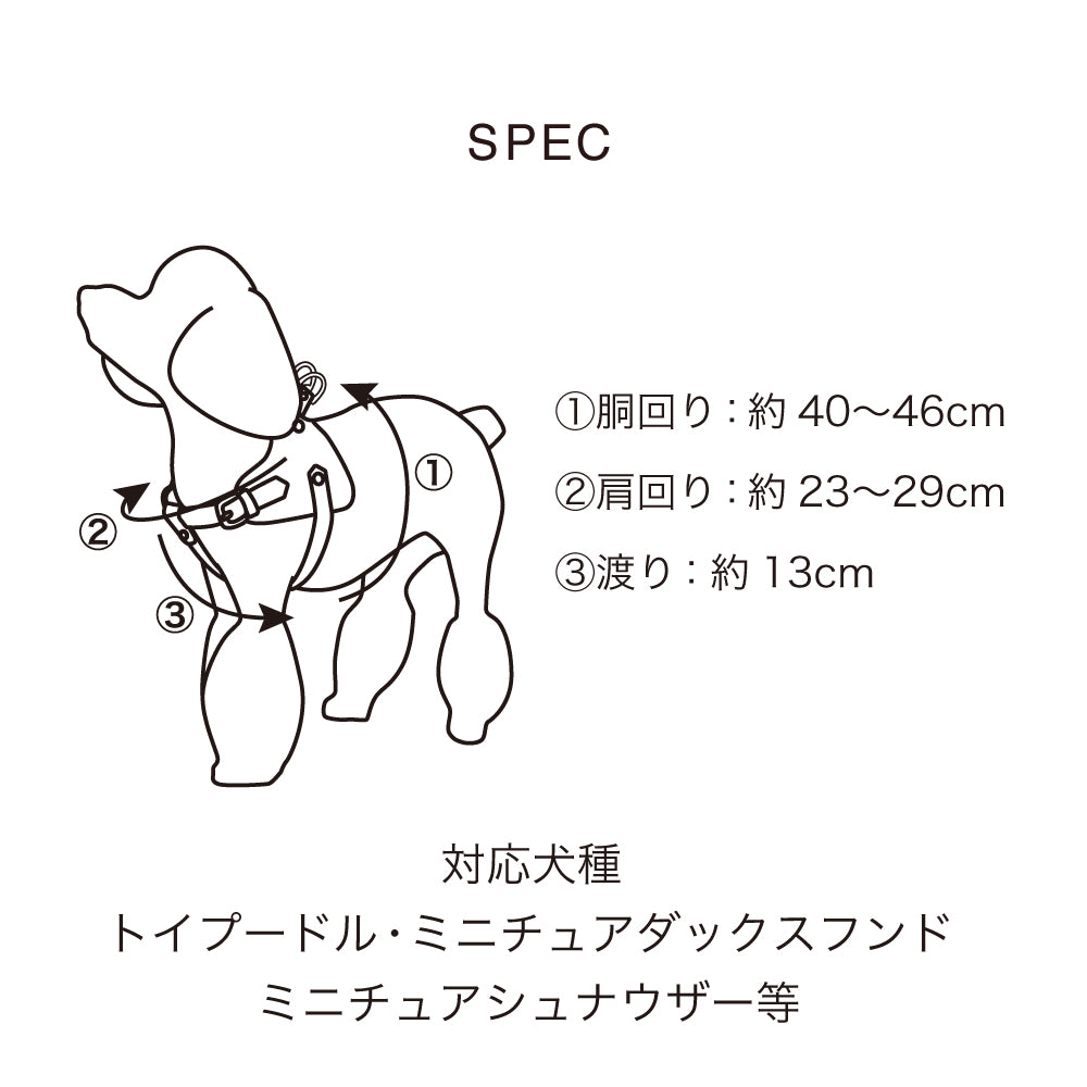 ボディベルト Bタイプ 2023限定モデル タイル