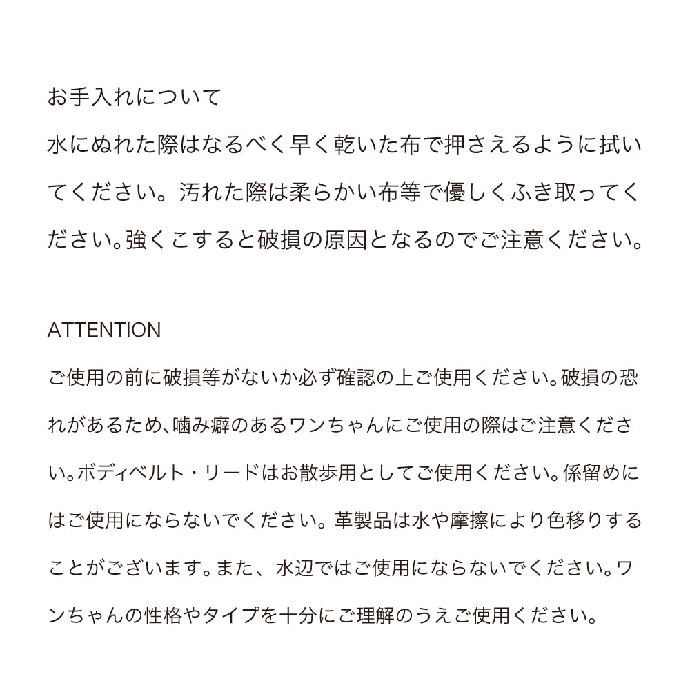 ボディベルト Bタイプ 2023限定モデル タイル