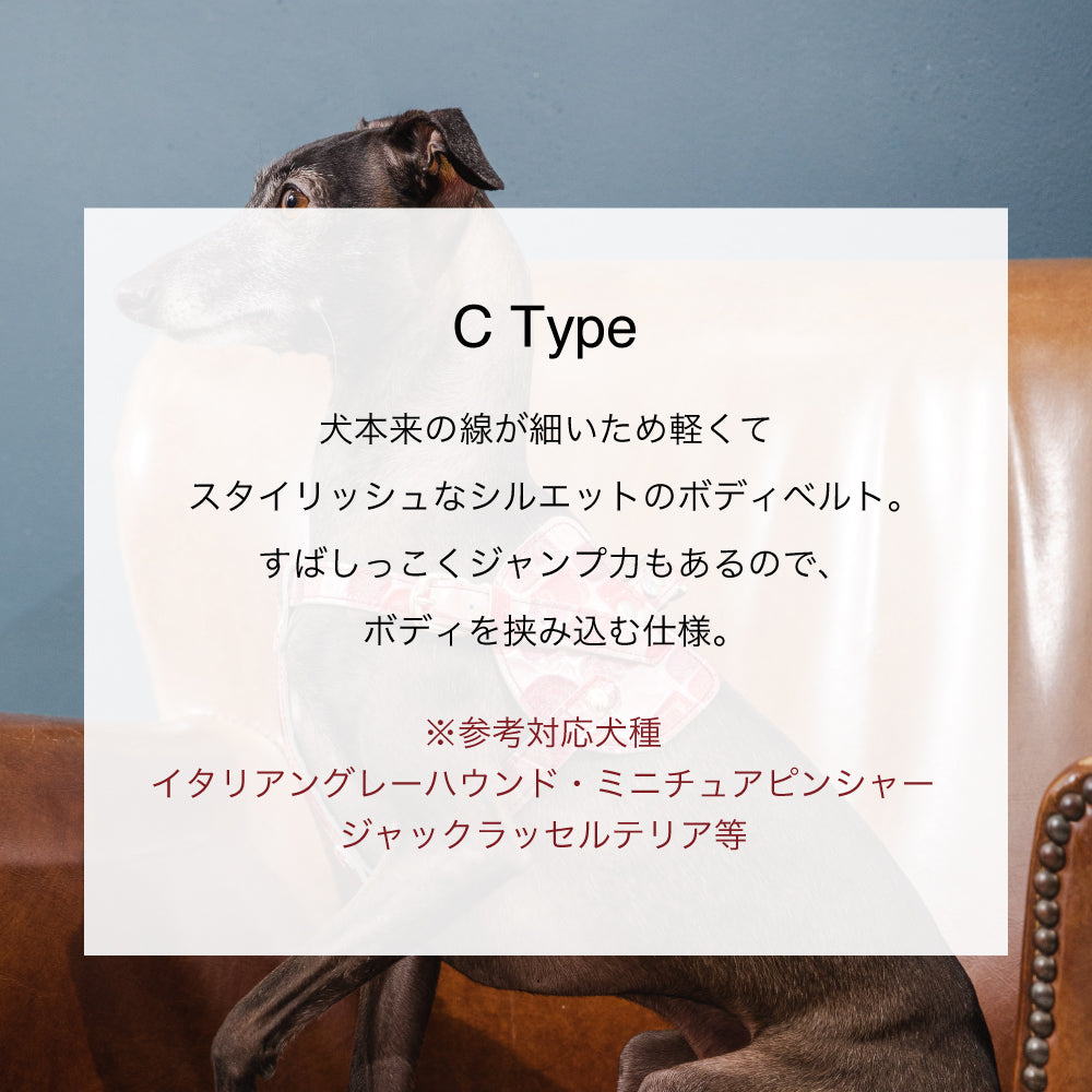ボディベルト Cタイプ 2023限定モデル タイル