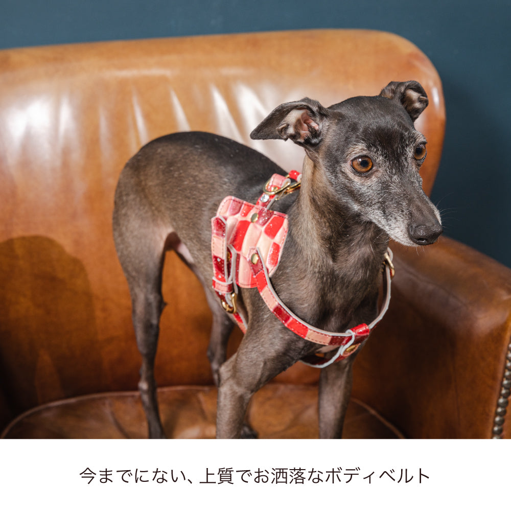 ボディベルト Cタイプ 2023限定モデル タイル