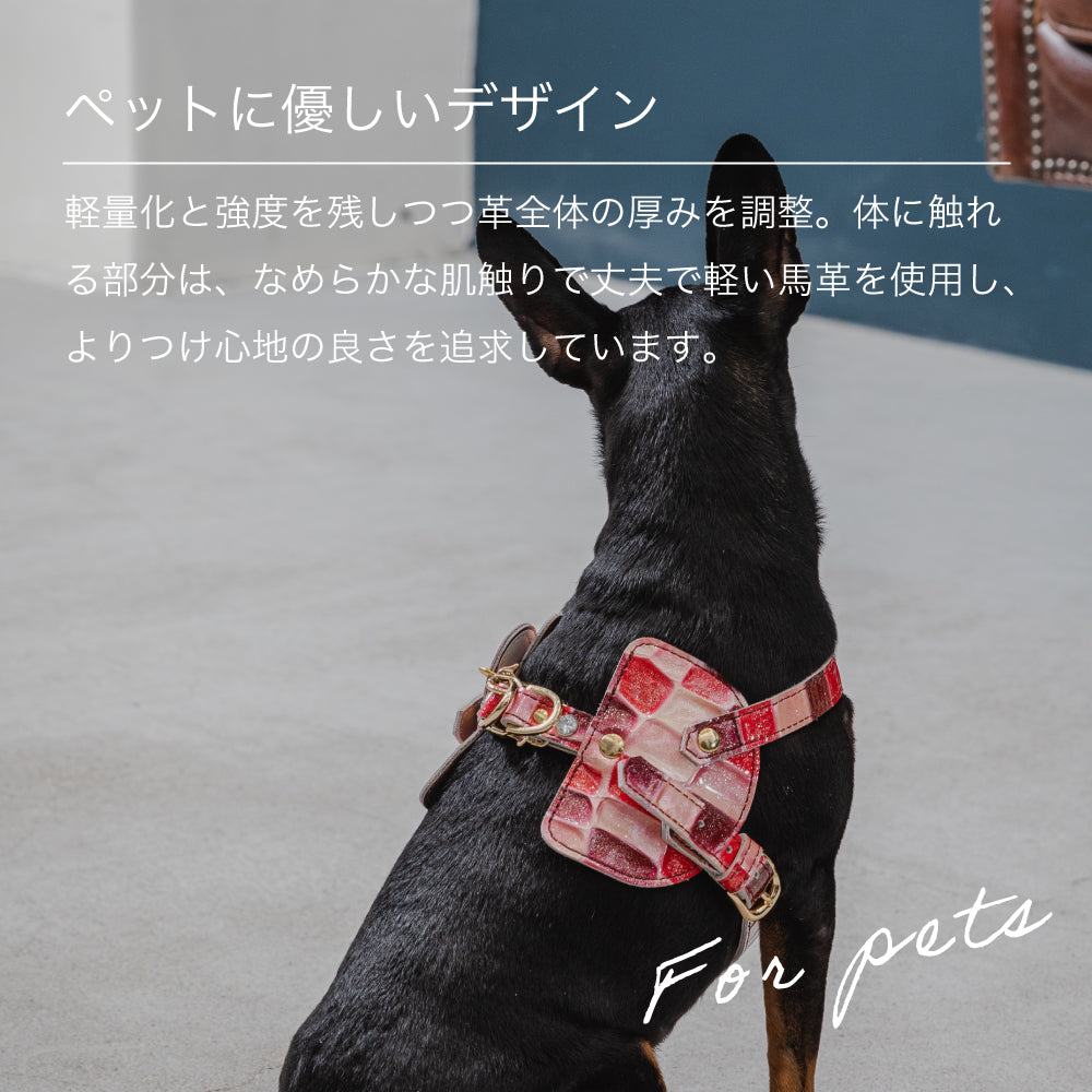 ボディベルト Cタイプ 2023限定モデル タイル