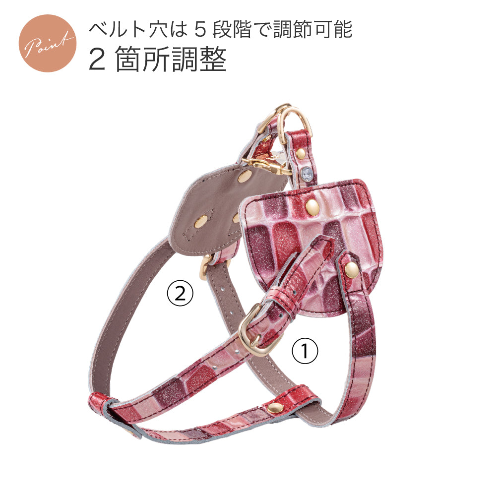 ボディベルト Cタイプ 2023限定モデル タイル