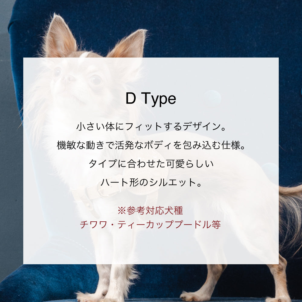 ボディベルト Dタイプ ジュエリーエンボス