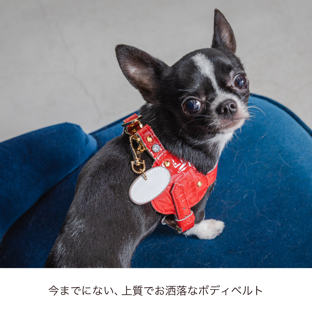 ボディベルト Dタイプ ジュエリーエンボス
