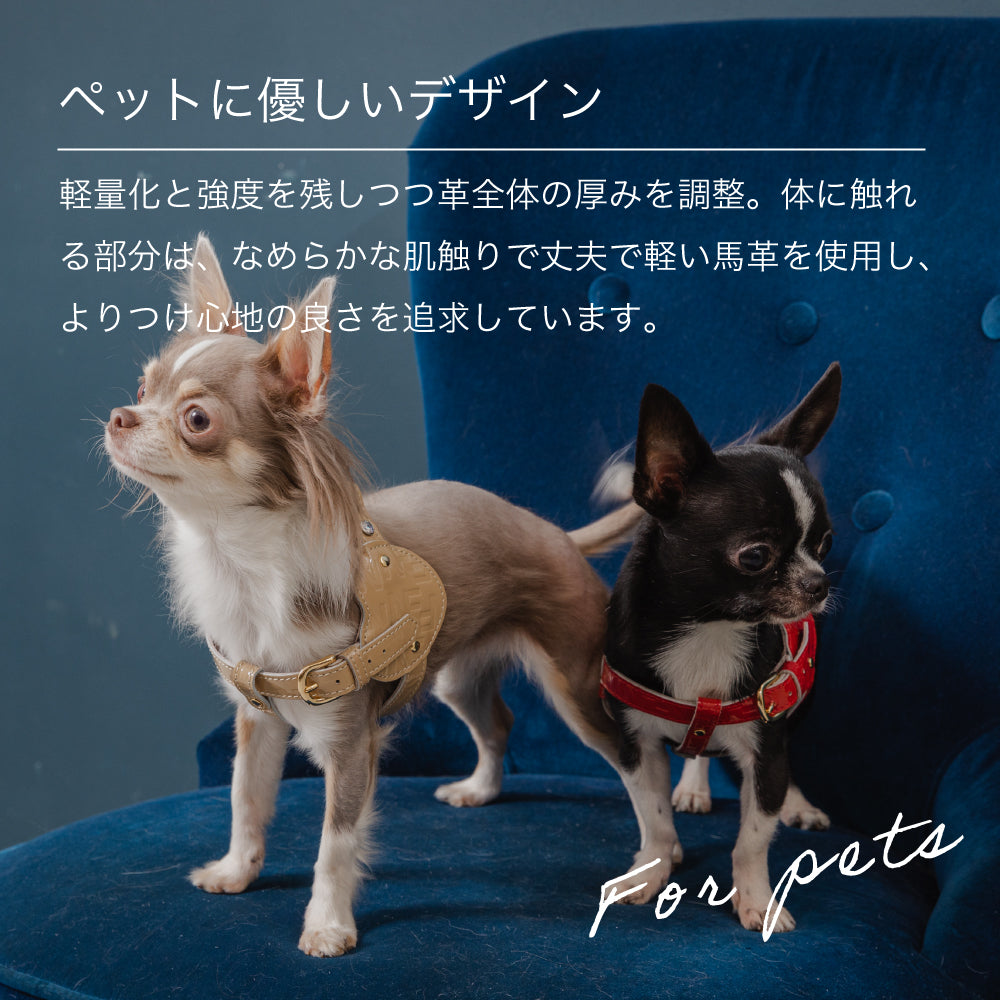 ボディベルト Dタイプ ジュエリーエンボス