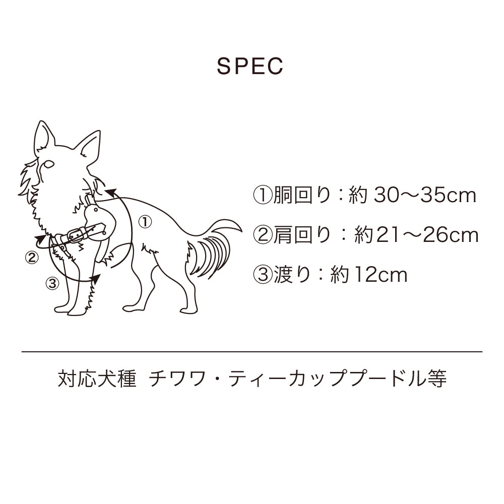 ボディベルト Dタイプ ジュエリーエンボス