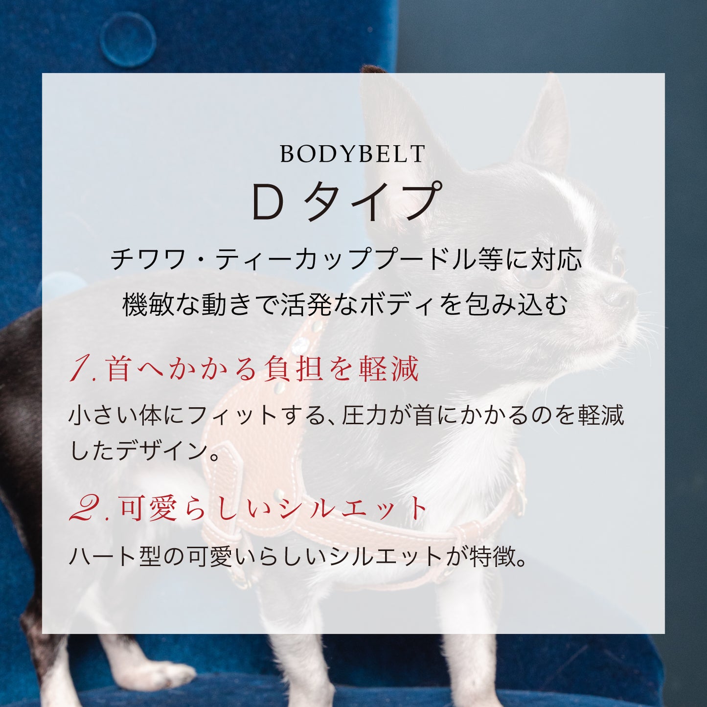 【予約販売 5月下旬発送】ボディベルト Dタイプ ナチュラルスキン