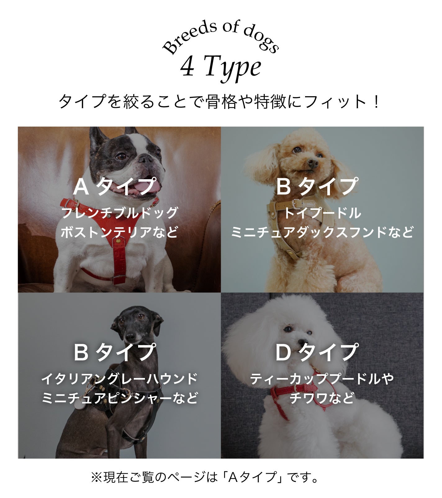 【予約販売 5月下旬発送】ボディベルト Dタイプ ナチュラルスキン