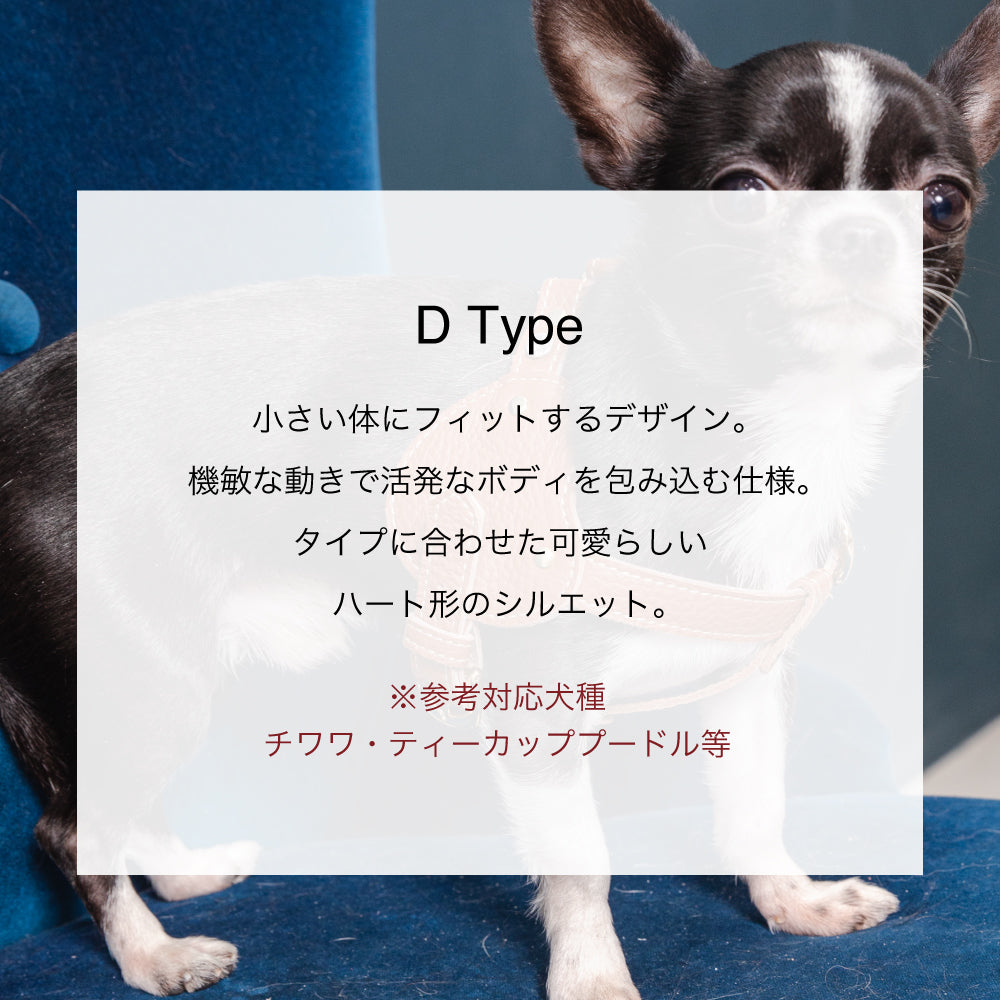 ボディベルト Dタイプ ナチュラルスキン