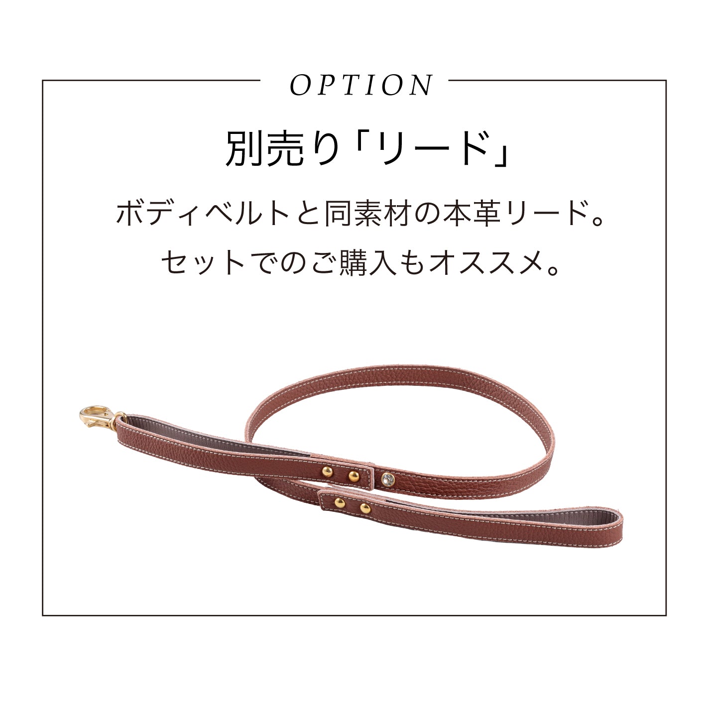 【予約販売 5月下旬発送】ボディベルト Dタイプ ナチュラルスキン