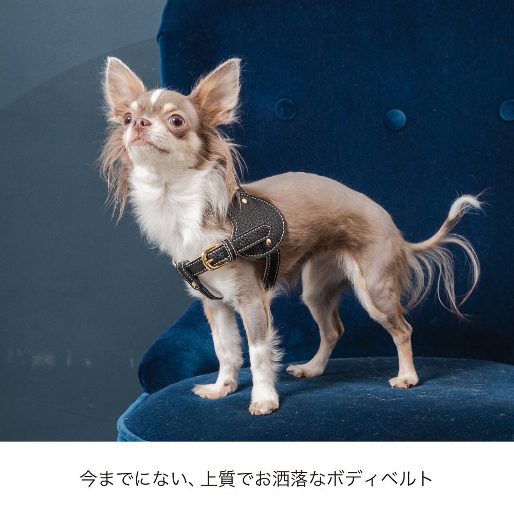 ボディベルト Dタイプ ナチュラルスキン