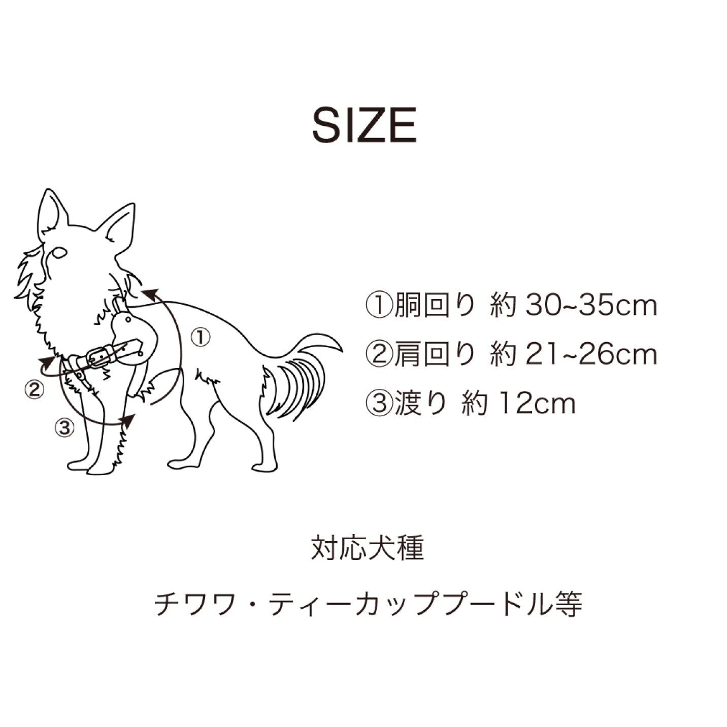 【予約販売 5月下旬発送】ボディベルト Dタイプ ナチュラルスキン