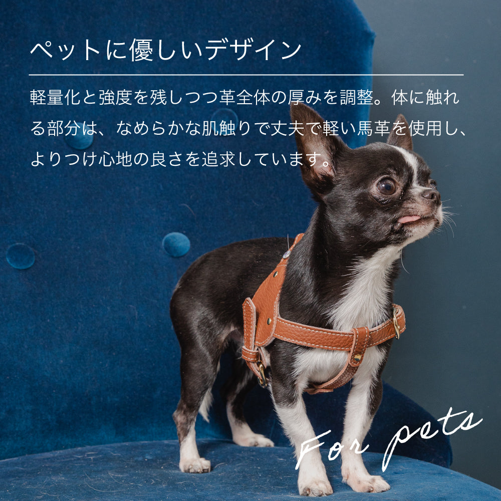 ボディベルト Dタイプ ナチュラルスキン