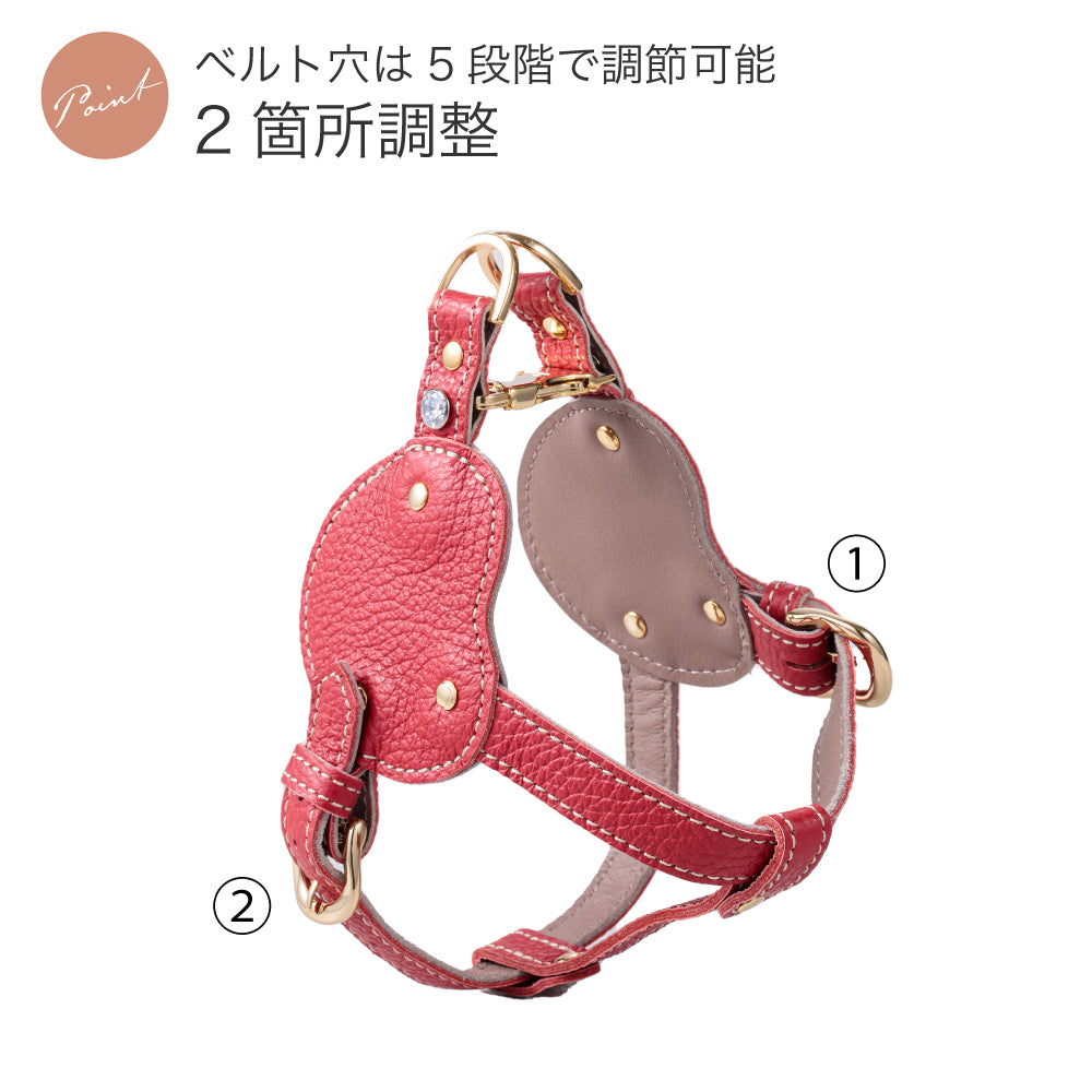 ボディベルト Dタイプ ナチュラルスキン