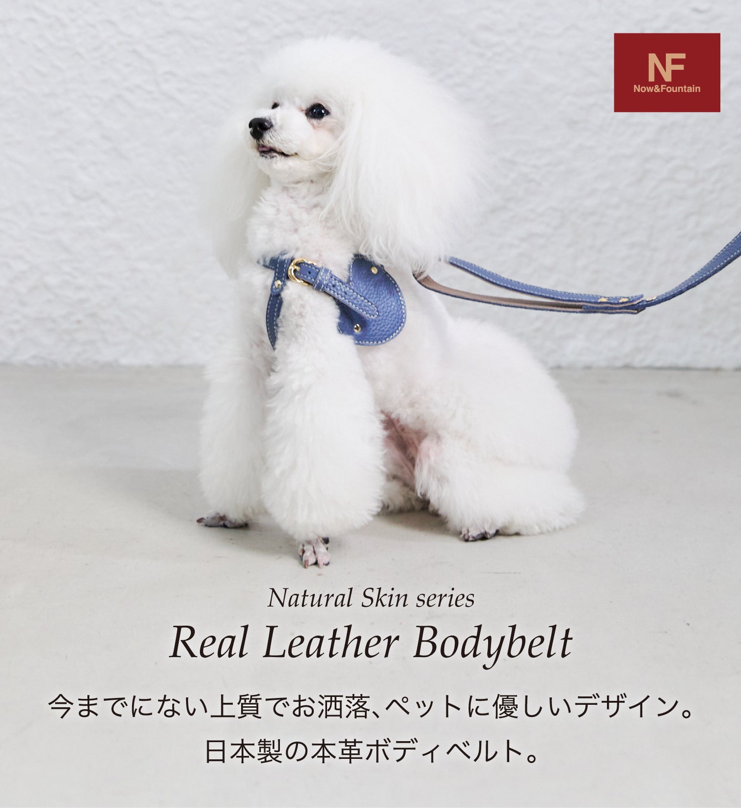 【予約販売 5月下旬発送】ボディベルト Dタイプ ナチュラルスキン