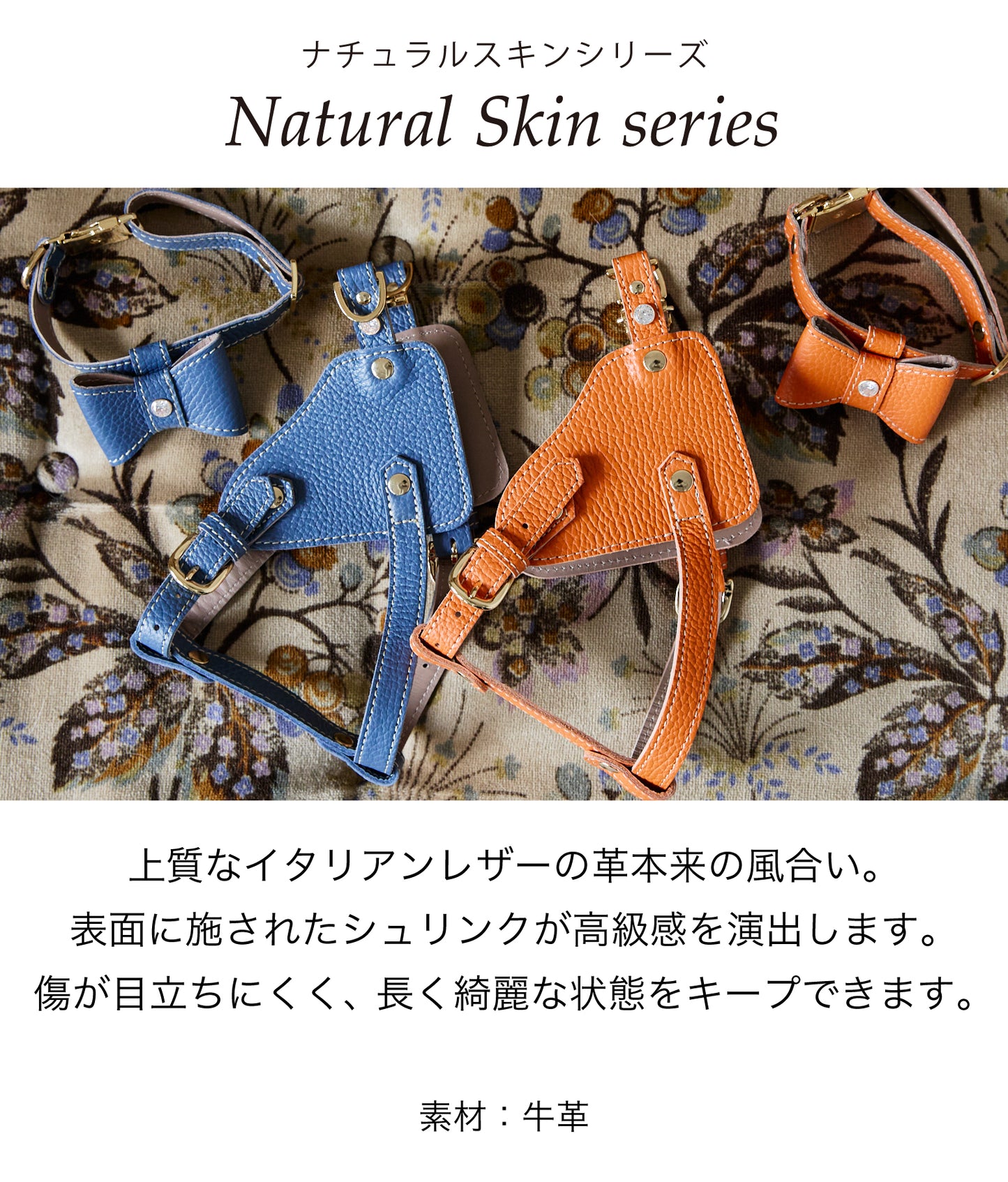 【予約販売 5月下旬発送】ボディベルト Dタイプ ナチュラルスキン