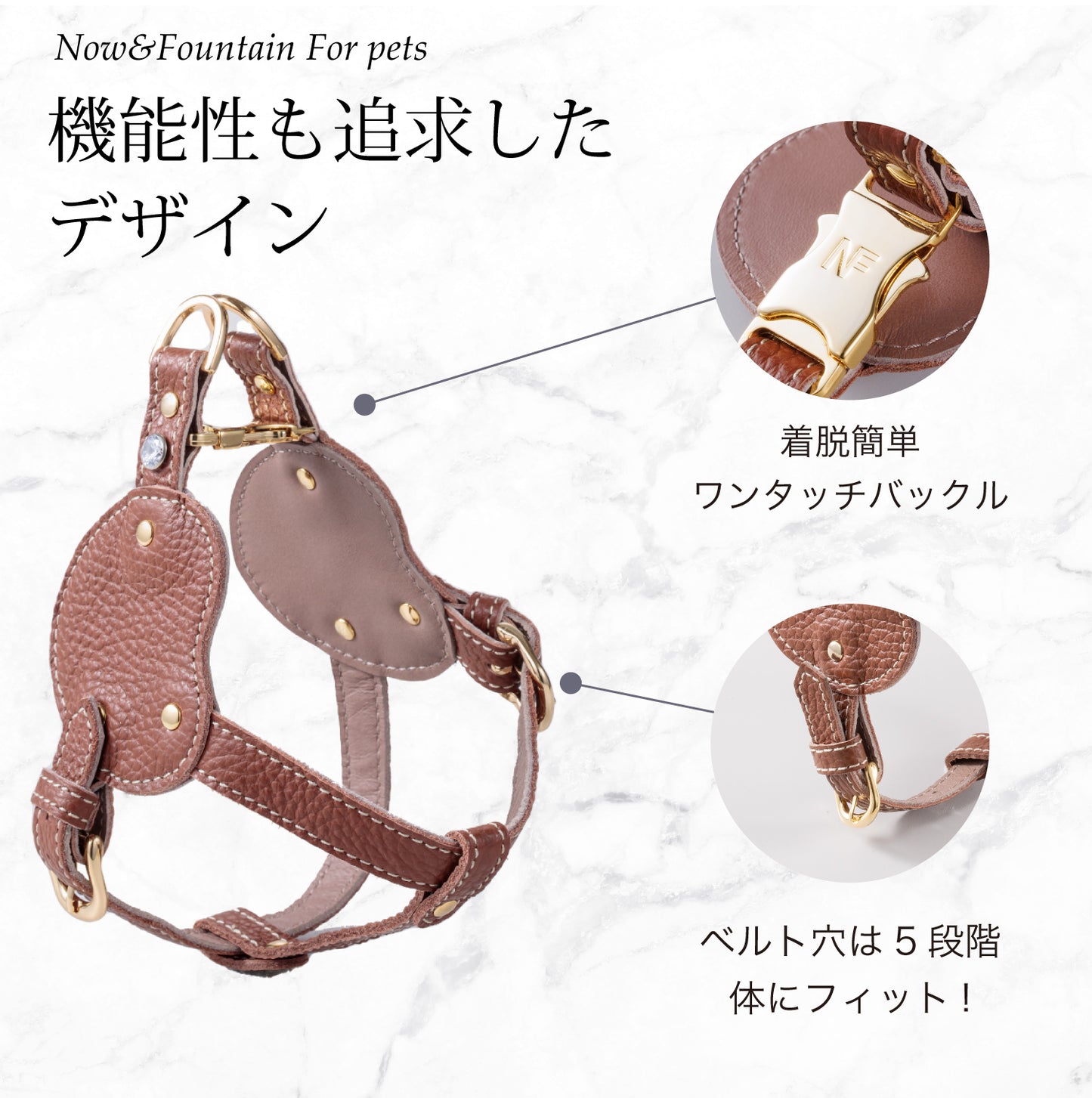 【予約販売 5月下旬発送】ボディベルト Dタイプ ナチュラルスキン