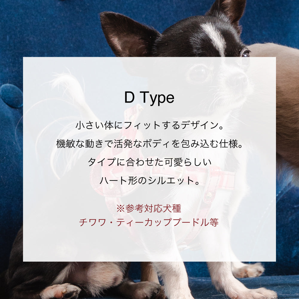 ボディベルト Dタイプ 2023限定モデル タイル