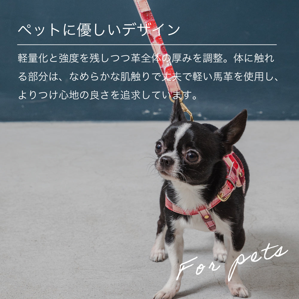 ボディベルト Dタイプ 2023限定モデル タイル