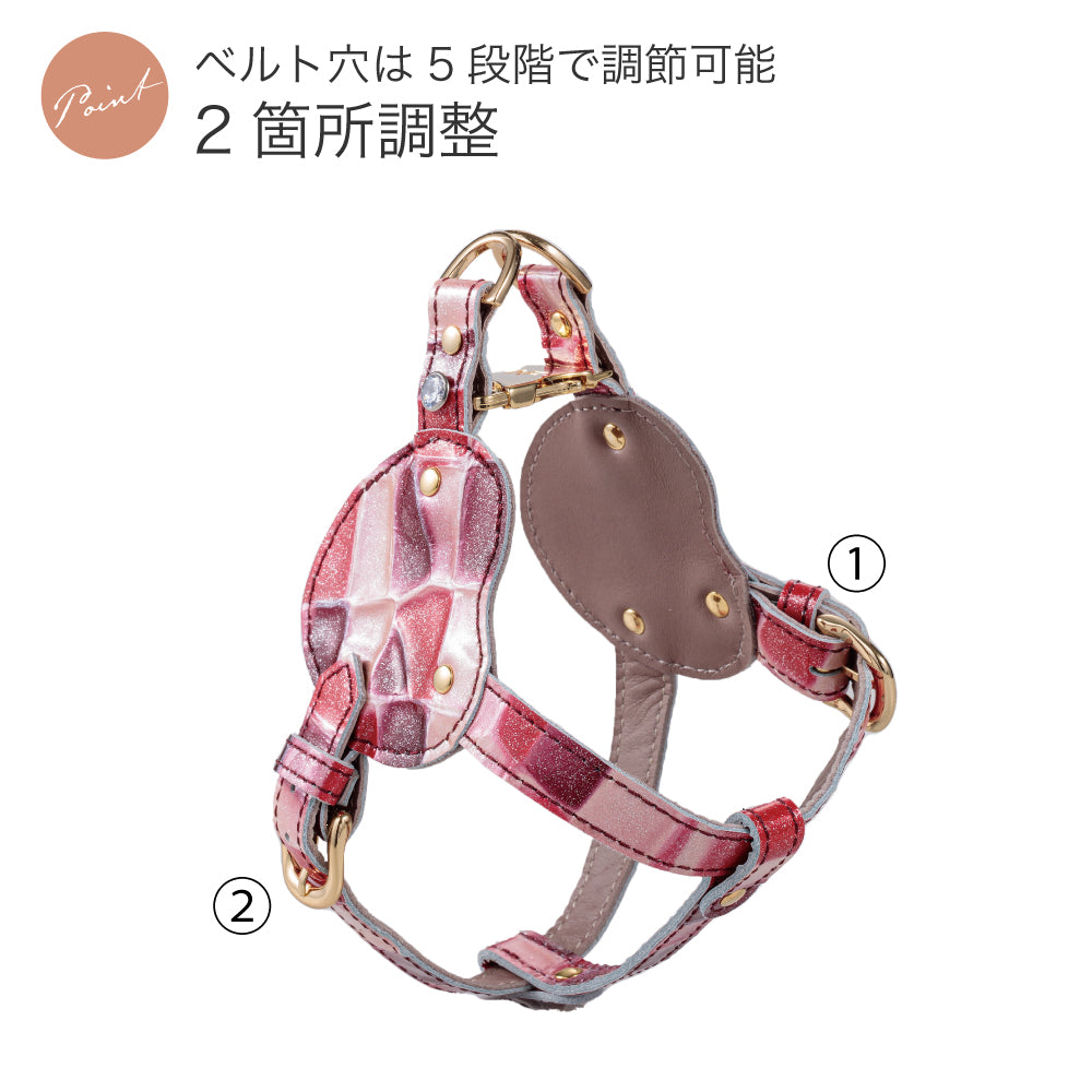 ボディベルト Dタイプ 2023限定モデル タイル