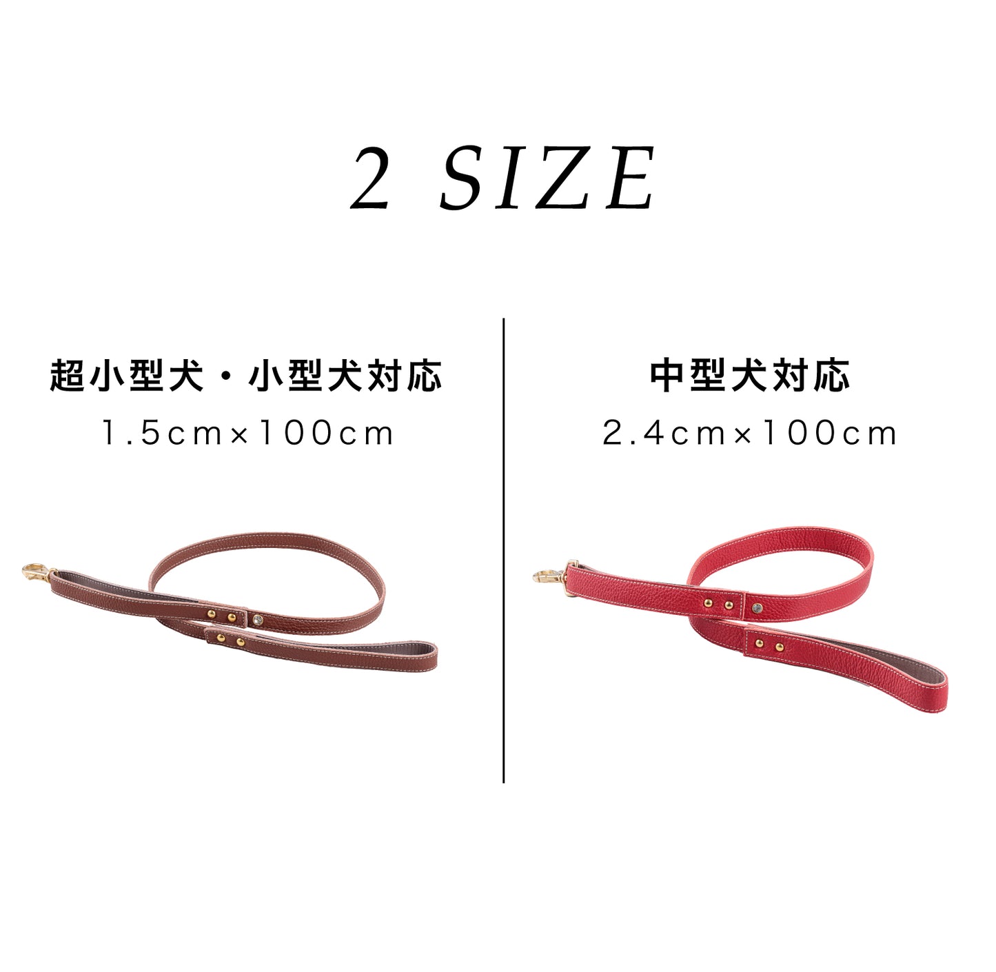 【予約販売 4月末発送】リード ナチュラルスキン