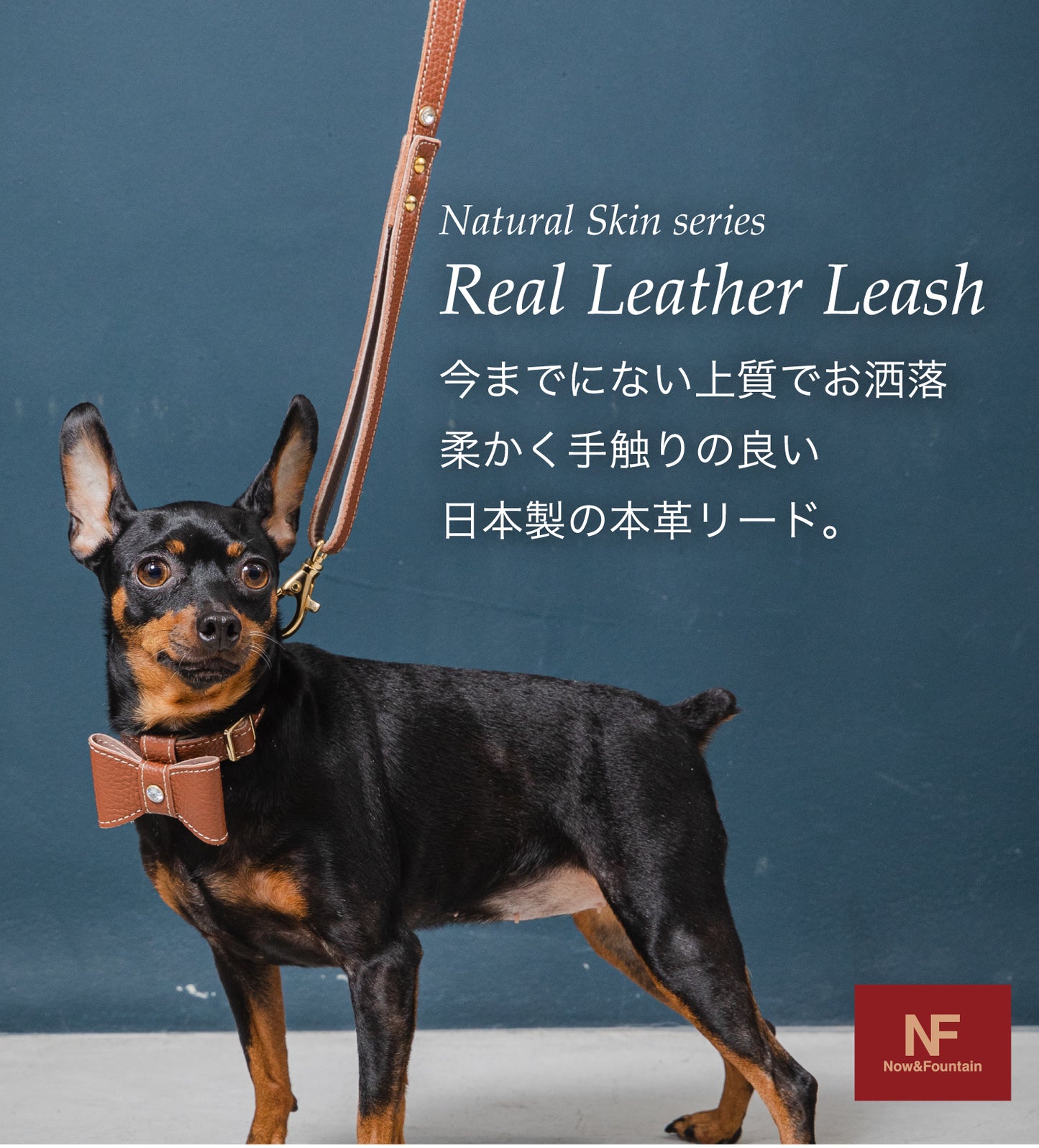 【予約販売 4月末発送】リード ナチュラルスキン