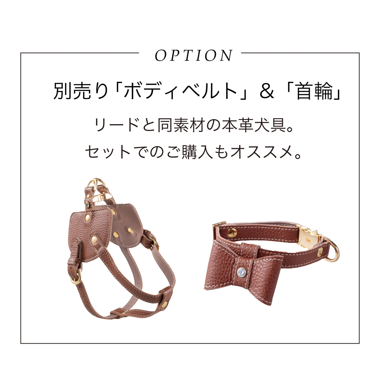 【予約販売 4月末発送】リード ナチュラルスキン